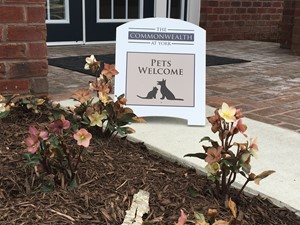 Pets Welcome sign outside Commonwealth at York apartments.